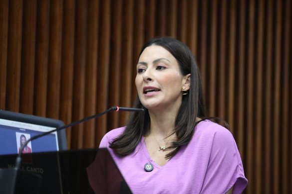 Projeto que busca conscientizar sobre a violência física e psicológica entre mulheres avança na Alep