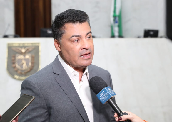 Projeto de lei no Paraná propõe incluir animais de estimação em medidas protetivas para casos de violência doméstica