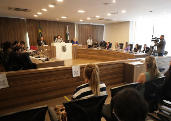 Assembleia debate desafios dos municípios na gestão de políticas públicas voltadas à primeira infância