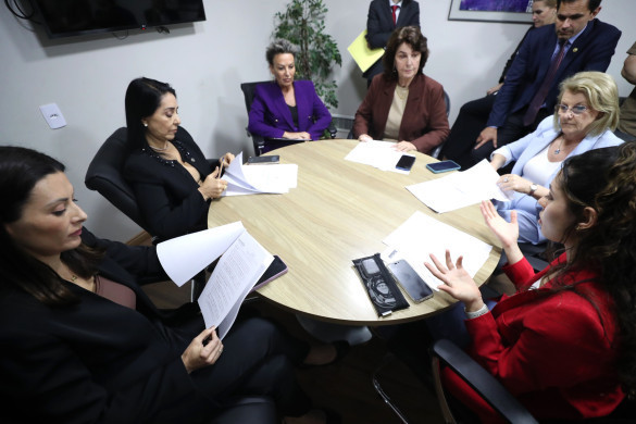 Comissão de Defesa da Mulher aprova projeto que obriga hospitais, clínicas e maternidades a divulgarem informações sobre casos de aborto