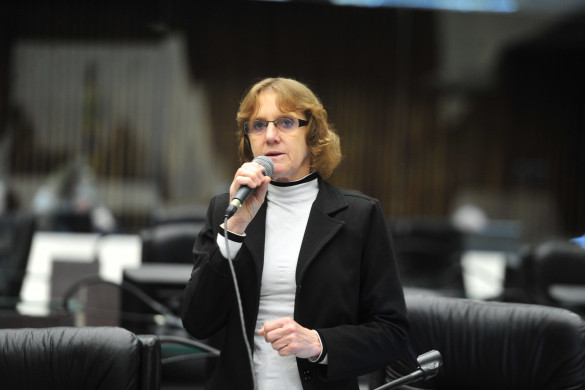 Deputada volta a defender apoio à agricultura familiar nesse momento de calamidade