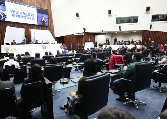 Inscritos no Parlamento Universitário participam de treinamento