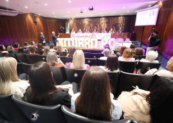 Assembleia debate prevenção e diagnóstico precoce do câncer de mama em audiência do Outubro Rosa