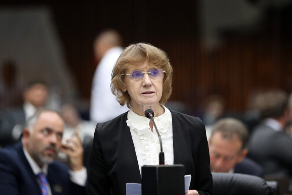 Deputada Luciana Rafagnin (PT) cobra explicações sobre atraso na construção de casas em Rio Bonito do Iguaçu