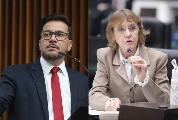 Deputado Arilson Chiorato (PT) e deputada Luciana Rafagnin (PT) pedem garantia de repasses às APAEs e abertura de diálogo sobre nova Política Nacional de Educação Especial