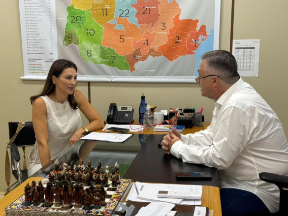 Deputada Mabel Canto (PP) se reúne com secretário da Saúde para debater recursos destinados a hospitais de Ponta Grossa