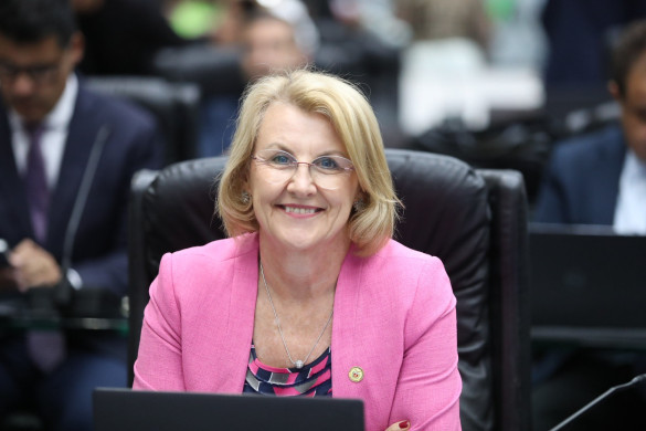 Assembleia Legislativa aprova projeto que concede Utilidade Pública ao grupo ucraniano Ivan Kupalo, de Irati