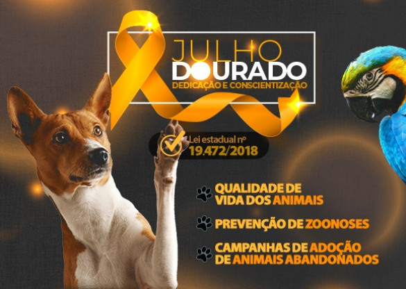 Julho Dourado – Mês de reflexão sobre a saúde animal e contra o abandono
