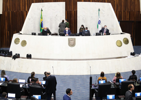 Projeto que cria a Lei de Incentivo à Cultura do Bambu é aprovado em primeiro turno