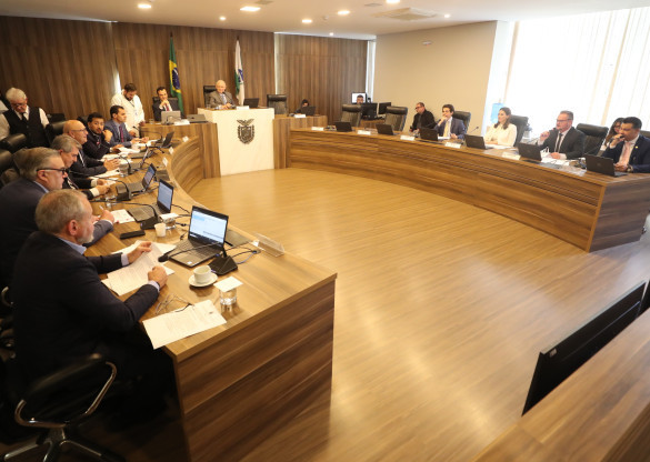 CCJ aprova emenda ao projeto de lei que institui o Conselho Estadual de Juventude do Paraná