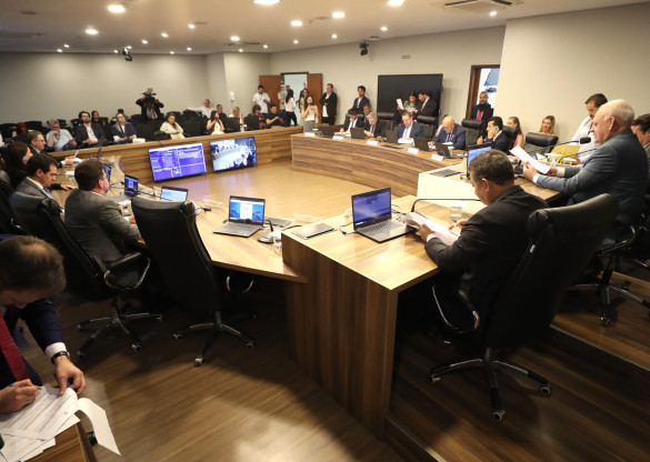 CCJ extraordinária aprova proposta que garante acesso ao spray de pimenta para defesa feminina