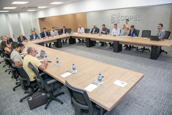 Deputado Luis Corti (PSB) propõe a criação de comitê intersetorial focado na segurança energética do Paraná