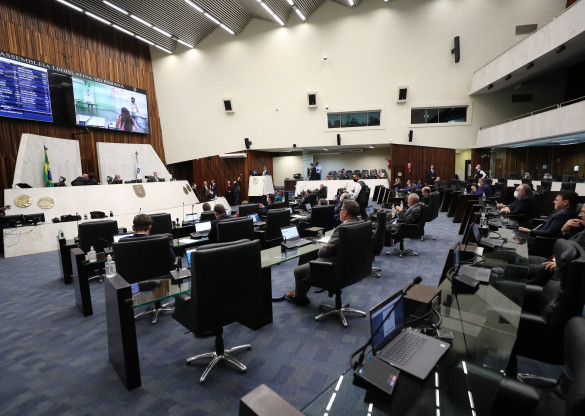 Deputados aprovam projeto que cria o Selo Estadual Empresa Pela Mulher