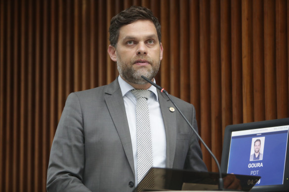 Deputado Goura (PDT) sugere projeto-piloto para implementação da Pedagogia Waldorf na rede pública