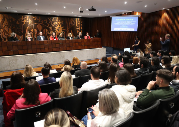 Audiência Pública apresenta o resultado do levantamento da legislação paranaense sobre os direitos das mulheres