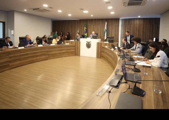 CCJ extraordinária aprova projetos voltados à promoção dos direitos das mulheres