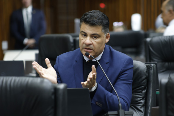 Projeto protocolado na Assembleia propõe educação sobre respeito e proteção aos animais nas escolas do Paraná