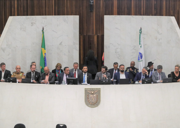 Audiência traz ações imediatas do Governo e propostas para reforçar segurança nas escolas