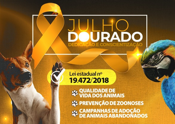 Julho Dourado é o mês dedicado à reflexão sobre a saúde animal e prevenção de zoonoses