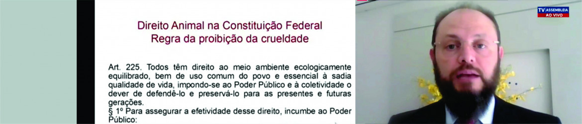 Palestra com juiz federal Vicente de Paula destacou a importância do Direito Animal