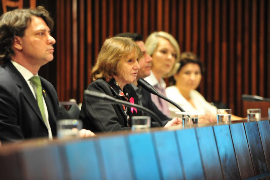 Audiência pública proposta pela Comissão de Agricultura e Bloco Parlamentar da Agricultura Familiar foi o primeiro passo dos debates no Legislativo sobre a criação do Instituto de Desenvolvimento Rural do Paraná.