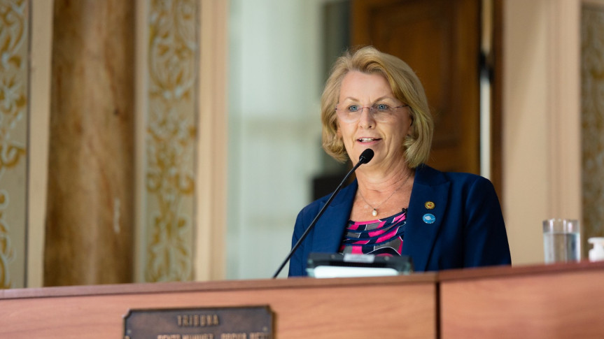 Deputada Secretária Márcia Huçulak (PSD).