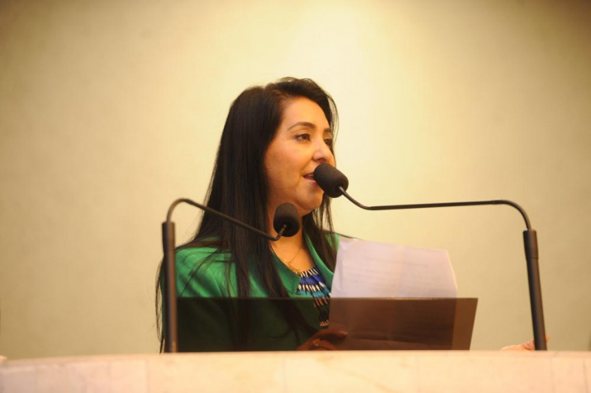 Deputada Mara Lima ( PSDB).