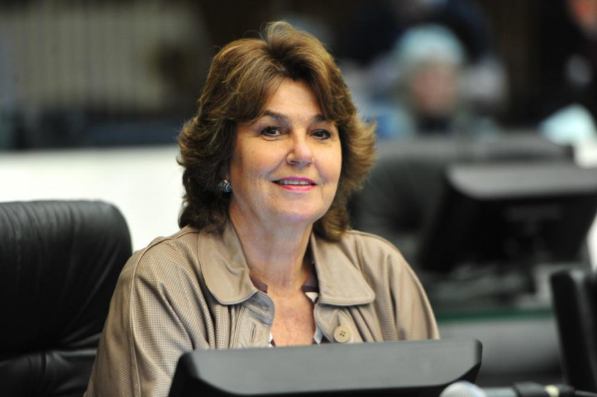 13 anos da Lei Maria da Penha: Deputada Cristina Silvestri fala sobre desafios no combate à violência