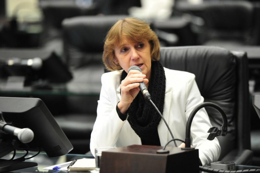 Deputada Luciana Rafagnin: agricultores familiares, mulheres, idosos e pessoas com deficiência estão entre os mais prejudicados.