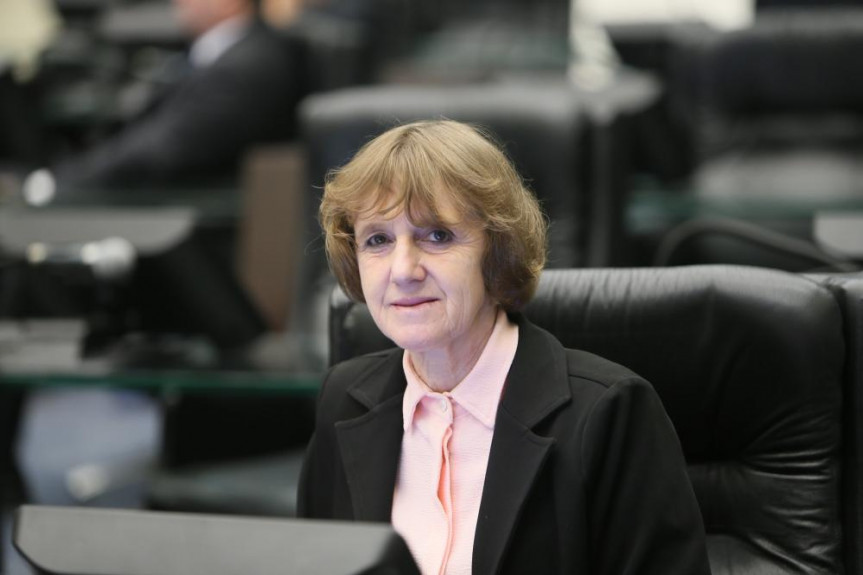 Deputada Luciana Rafaginin defende um ambiente escolar de respeito e sem violência.