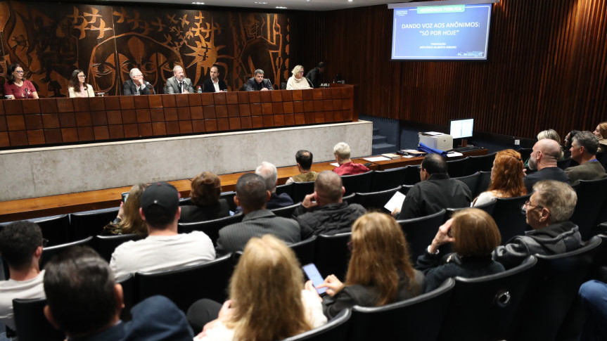 Audiência ocorreu no Plenarinho da Assembleia Legislativa na manhã desta terça-feira (16).