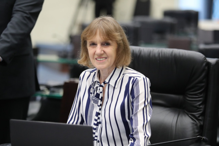 Deputada Luciana Rafagnin (PT).