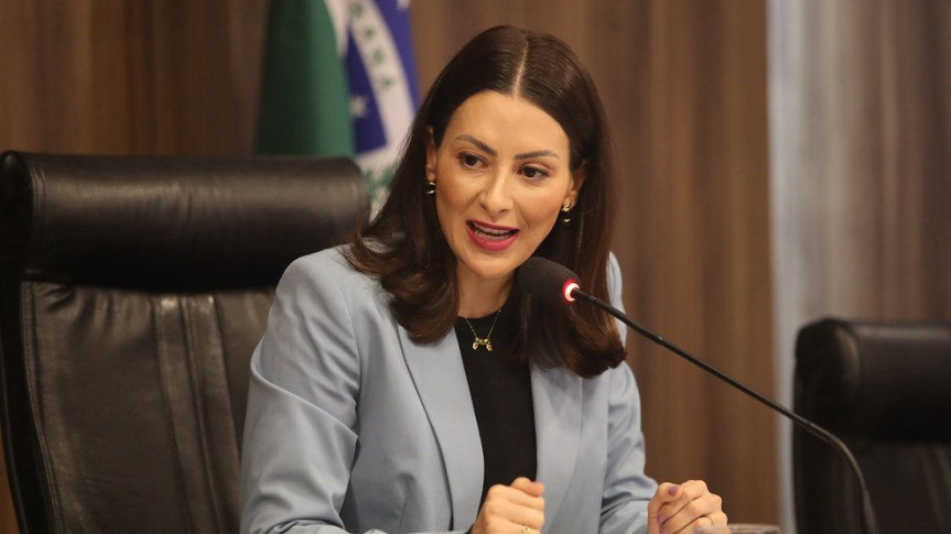 Deputada Mabel Canto (PP).