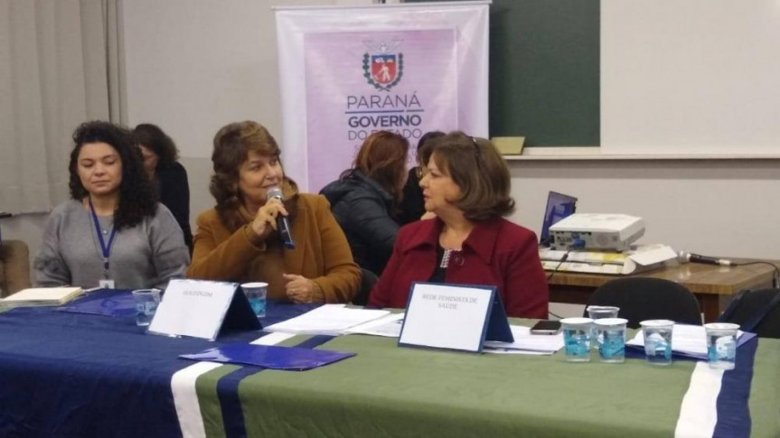 Deputada Cristina Silvestri (PPS), procuradora da Mulher na Alep, participa de reunião do Conselho Estadual dos Direitos da Mulher.