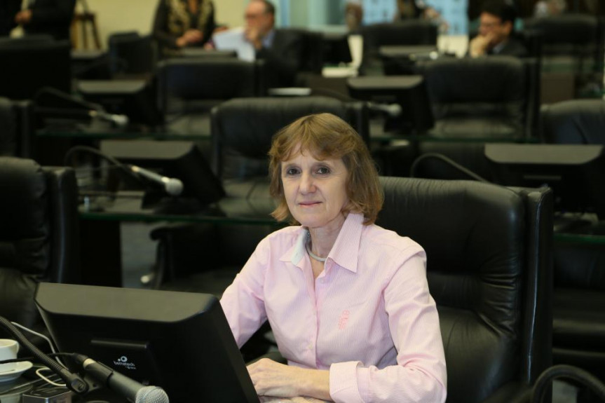 Deputada Luciana Rafagnin (PT): discriminações semeiam a violência.