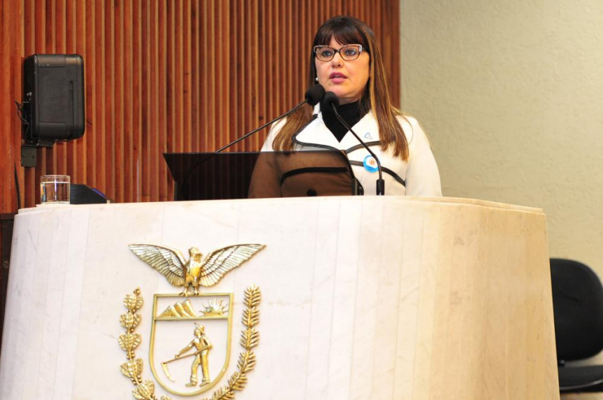 A coordenadora do Núcleo de Enfrentamento ao Tráfico de Pessoas, Sílvia Cristina Xavier, falou aos deputados na sessão plenária desta segunda-feira (3).