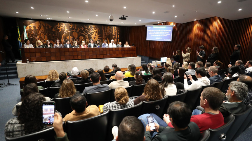 Audiência ocorreu no Plenarinho da Assembleia Legislativa na manhã desta terça-feira (2).