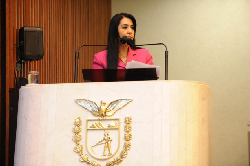 Deputada Mara Lima ( PSDB).