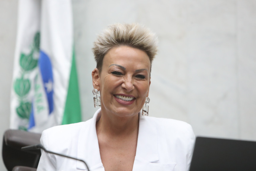 A deputada Cloara Pinheiro (PSD) é procuradora especial da Mulher na Assembleia Legislativa.