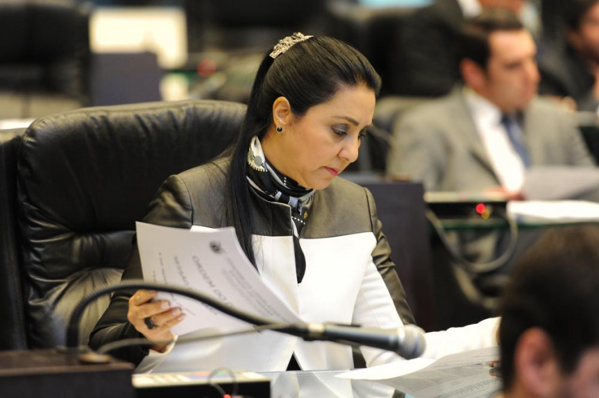 Deputada Mara Lima ( PSDB).