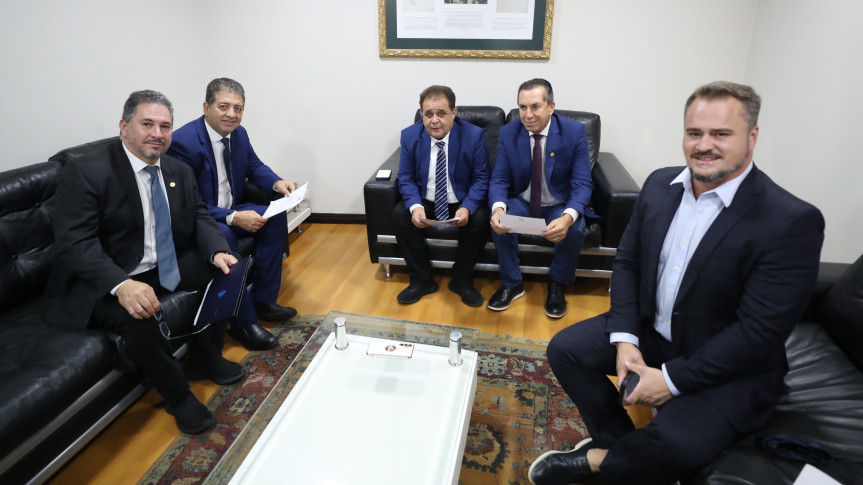 Ao longo do período, a Comissão analisou e deliberou sobre projetos estratégicos voltados à garantia de direitos, valorização e proteção da pessoa idosa.