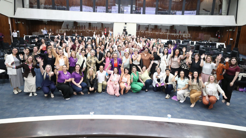 Segundo dia de seminário ocorreu nesta quinta-feira (13), no Plenário da Casa.