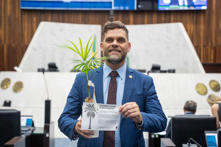 Deputado Goura (PDT).