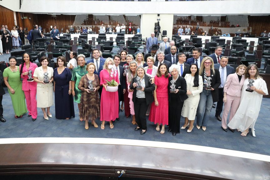 Entrega da premiação ocorreu no Grande Expediente da sessão plenária desta segunda-feira (10).