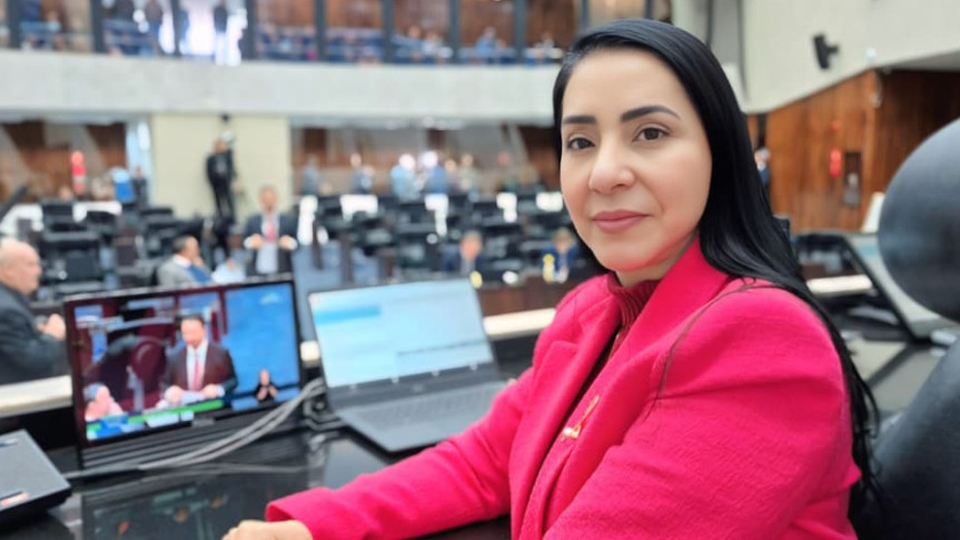 A iniciativa surgiu da Lei Salve Maria, de autoria da deputada Cantora Mara Lima (Republicanos), e integra o Código da Mulher Paranaense.