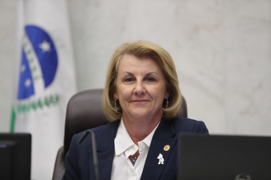A proposta homenageia a função que é a principal responsável pela aplicação das políticas públicas de saúde.