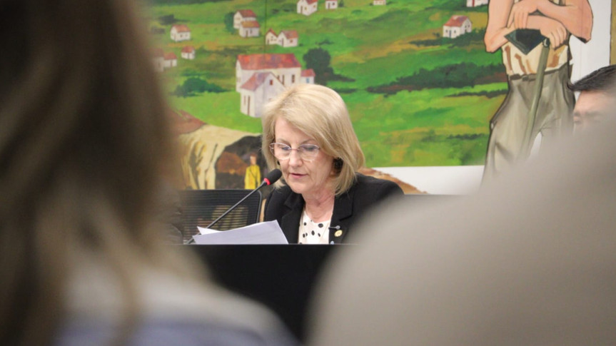 Deputada Secretária Márcia (PSD) durante audiência pública em Curitiba.