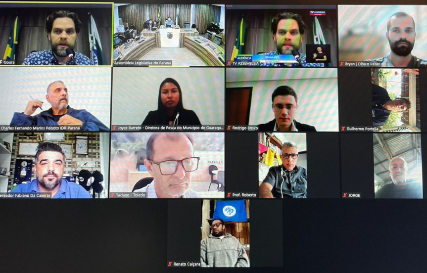 Audiência pública de forma remota debate a pesca artesanal no Paraná.