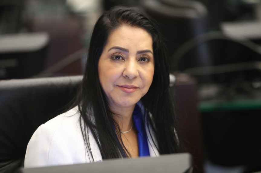 Projeto da deputada Cantora Mara Lima cria aplicativo para facilitar denúncias de violência contra a mulher.