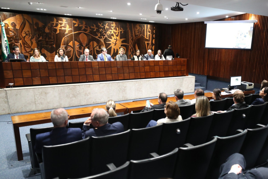 Audiência ocorreu no Plenarinho da Assembleia Legislativa na tarde desta quarta-feira (22).